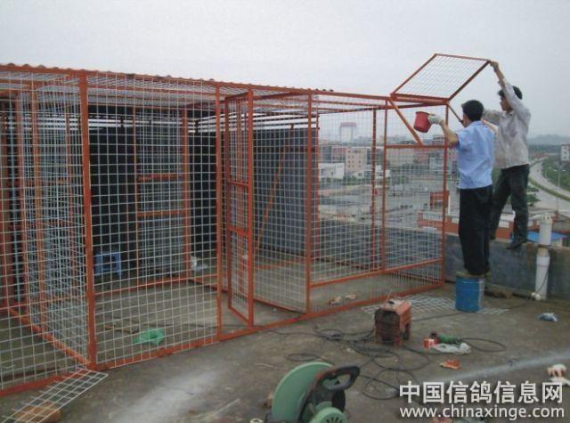 鸽友的鸽舍建设--中国信鸽信息网相册