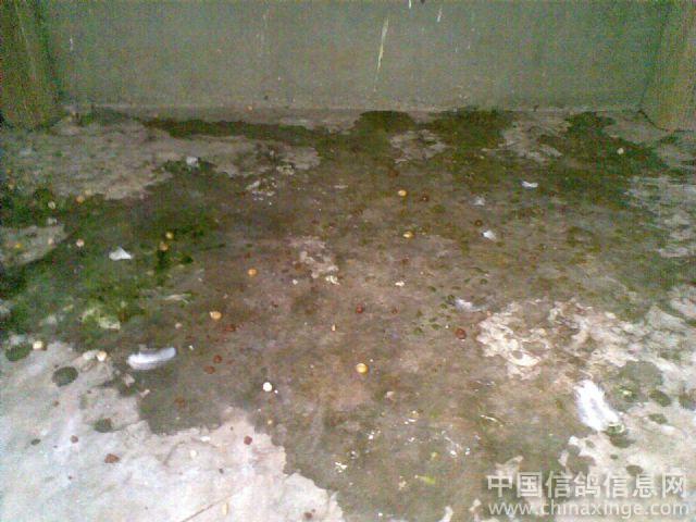 ´ڞg[DƬ