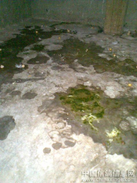 ´ڞg[DƬ