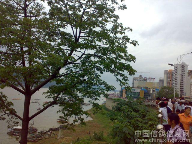 ´ڞg[DƬ