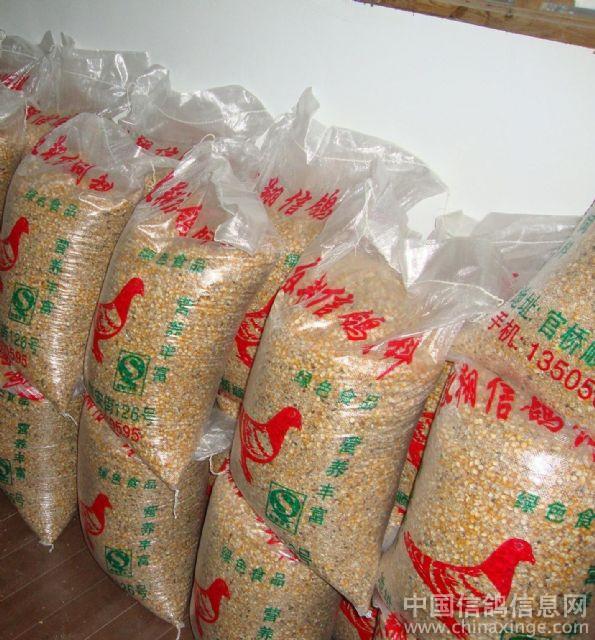 信鸽饲料--中国信鸽信息网相册