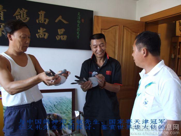友谊、探讨、取经、学习--中国信鸽信息网相册