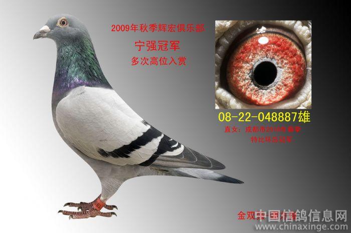 201121900429.jpg