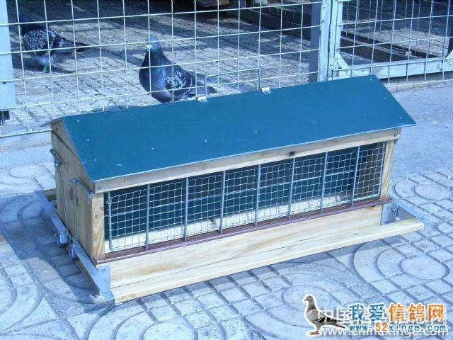 好鸽食槽--中国信鸽信息网相册