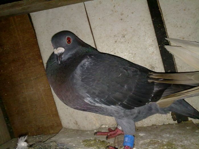 2011517211400.jpg