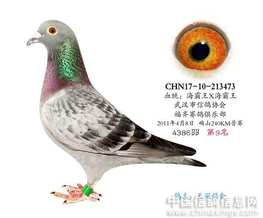 2011630103228.jpg
