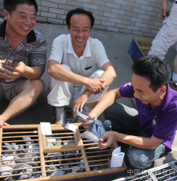 武汉江滩花鸟市场--中国信鸽信息网相册