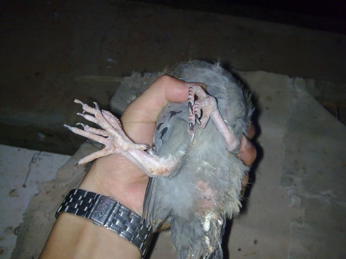 大千世界 无奇不有