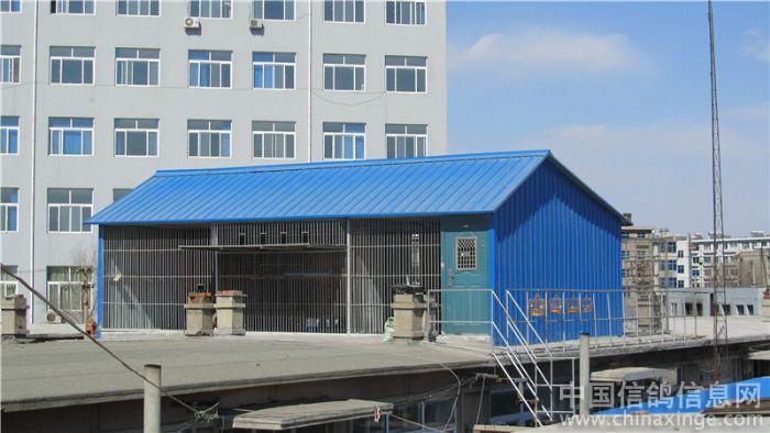 温州信鸽网 互通有无 这个鸽棚还不错