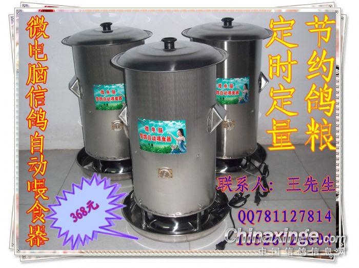 信鸽喂食器 信鸽定时自动放飞门