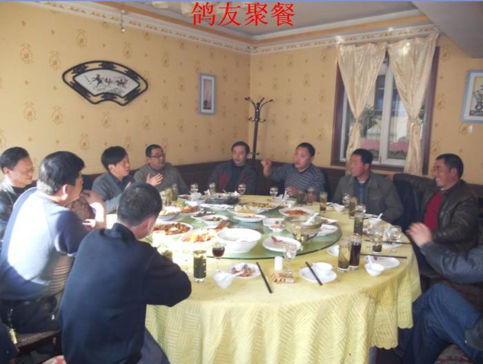 2011年青海平安县青藏火车头鸽协年底总结--中