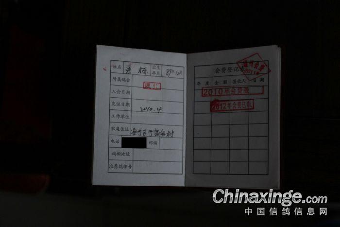 我是八零后 我爱鸽子--中国信鸽信息网相册
