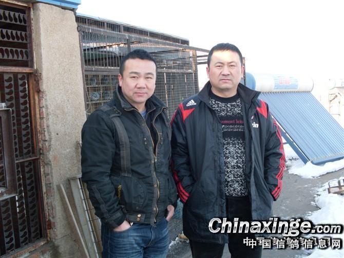 三五关鸽王冠军岭城毕建军--中国信鸽信息网相