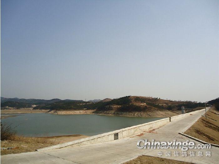 2012年第一次训放30公里巴山水库--中国信鸽信