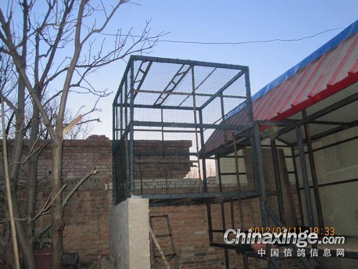 鸽舍建设(二)--中国信鸽信息网相册