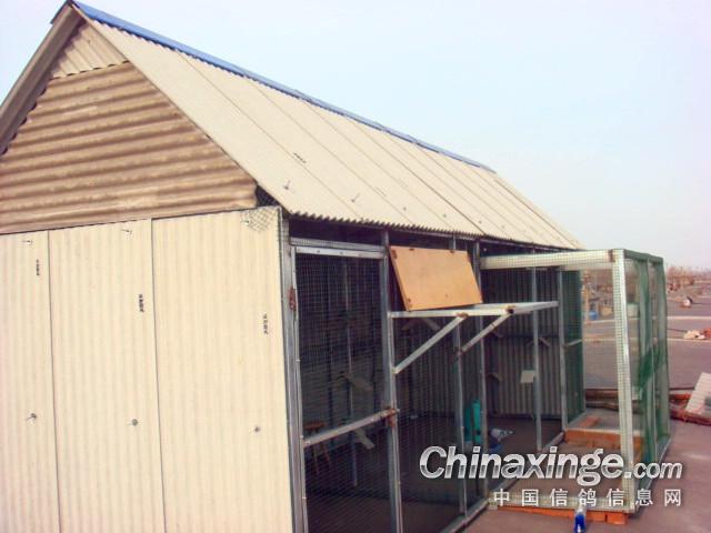 唐山冲天鸽舍--中国信鸽信息网相册