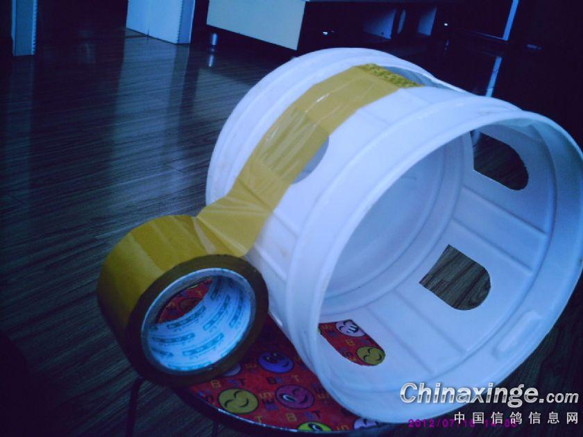 自动喂食器--中国信鸽信息网相册