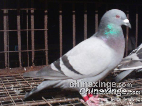 20129281047238.jpg