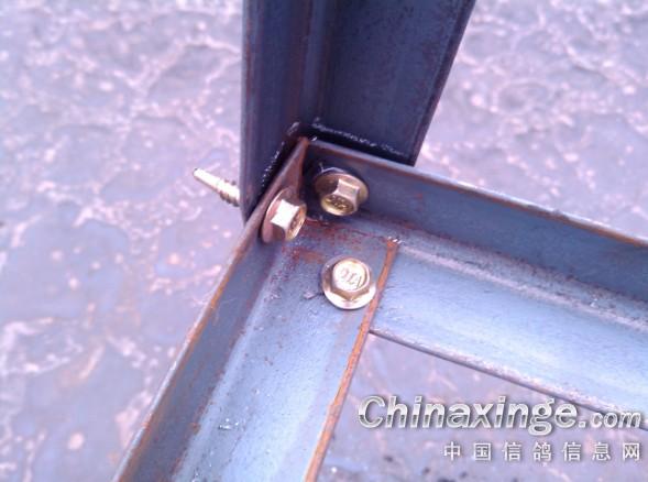 鸽棚DIY--中国信鸽信息网相册