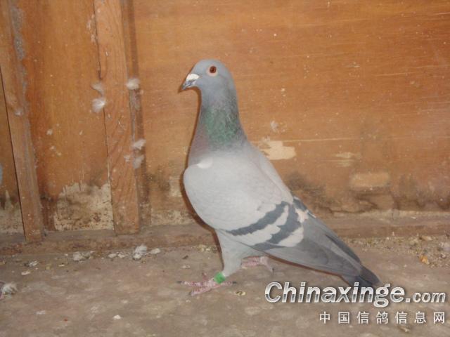 20132151744063.JPG