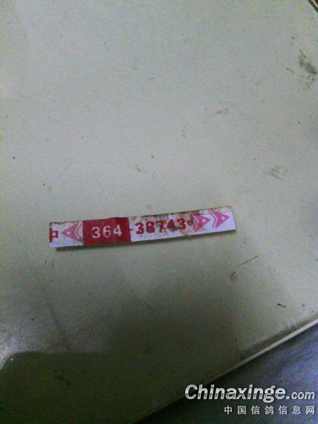 ´ڞg[DƬ