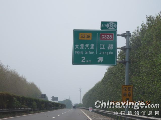 高温下探寻最佳训放路线--中国信鸽信息网相册