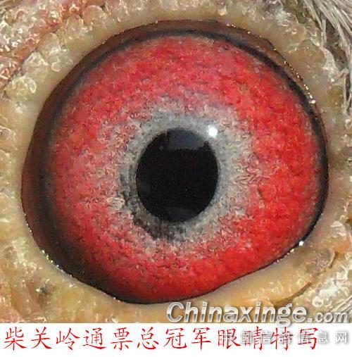 梁垫是什么|有什么区别呢,请高手指点