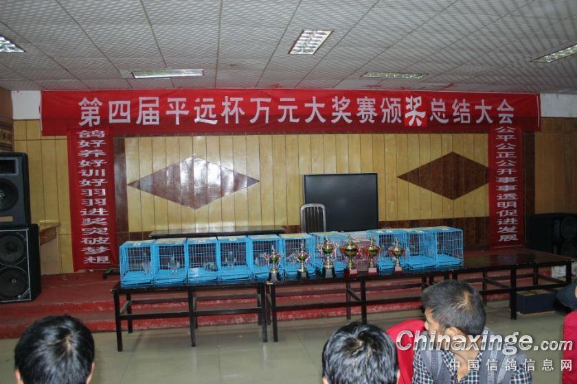 金南赛鸽联谊会第四届平远杯总结会--中国信鸽