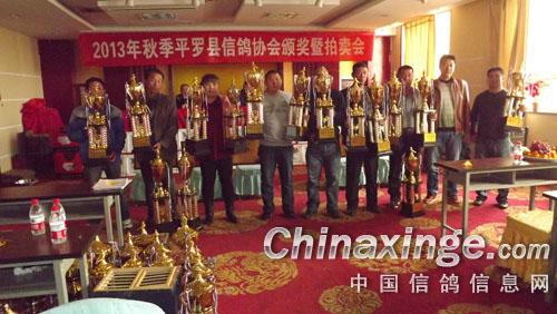 平罗县信鸽协会颁奖暨拍卖大会--中国信鸽信息