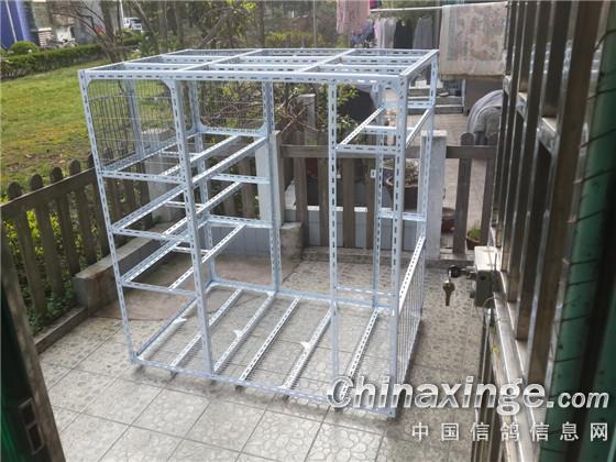 自己搭建的小鸽棚--中国信鸽信息网相册