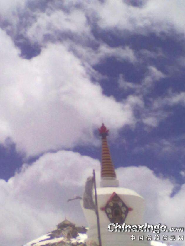 ´ڞg[DƬ