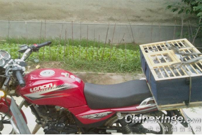 ´ڞg[DƬ