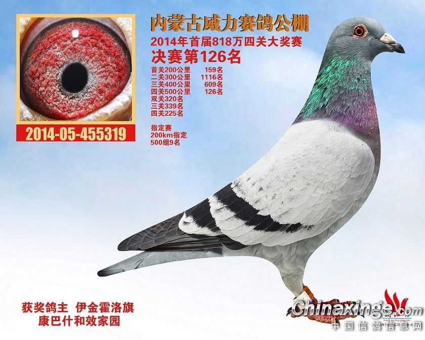 20141202030222950.jpg