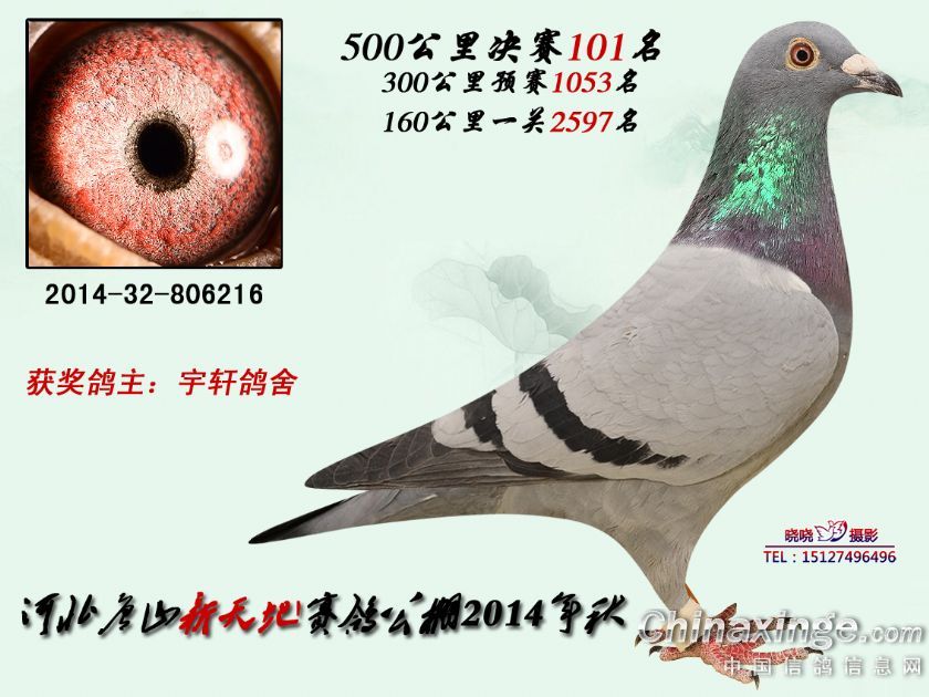 20141229212134602.jpg