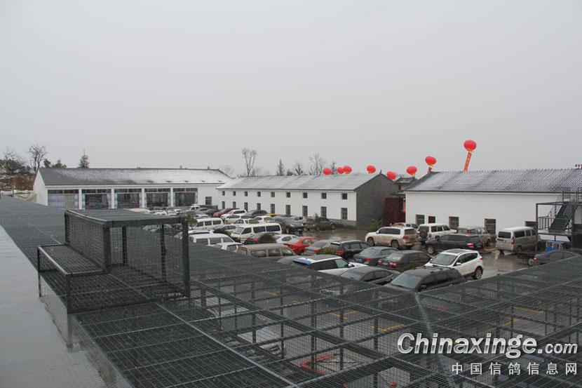 云南宣威银集赛鸽中心,坐落于云南宣威市区西北部大约10公里的