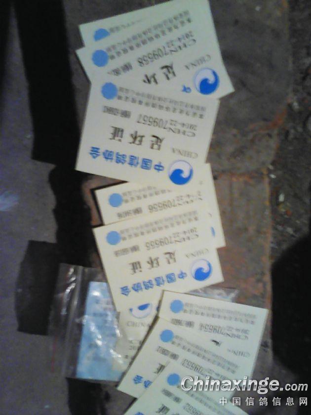 ´ڞg[DƬ