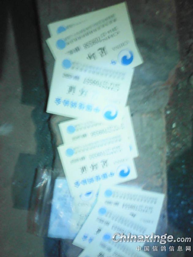 ´ڞg[DƬ