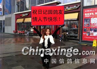 ´ڞg[DƬ