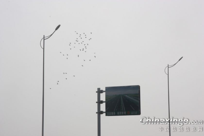 ´ڞg[DƬ