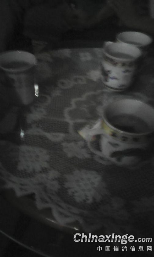 ´ڞg[DƬ
