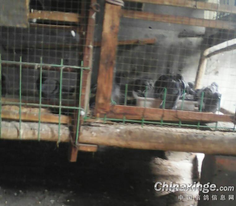 ´ڞg[DƬ