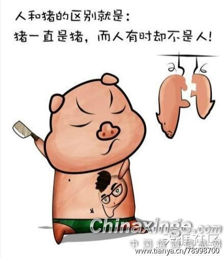 ´ڞg[DƬ
