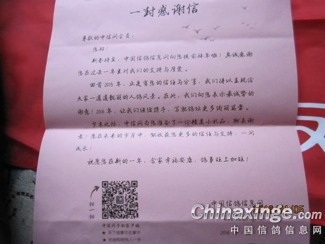 ´ڞg[DƬ