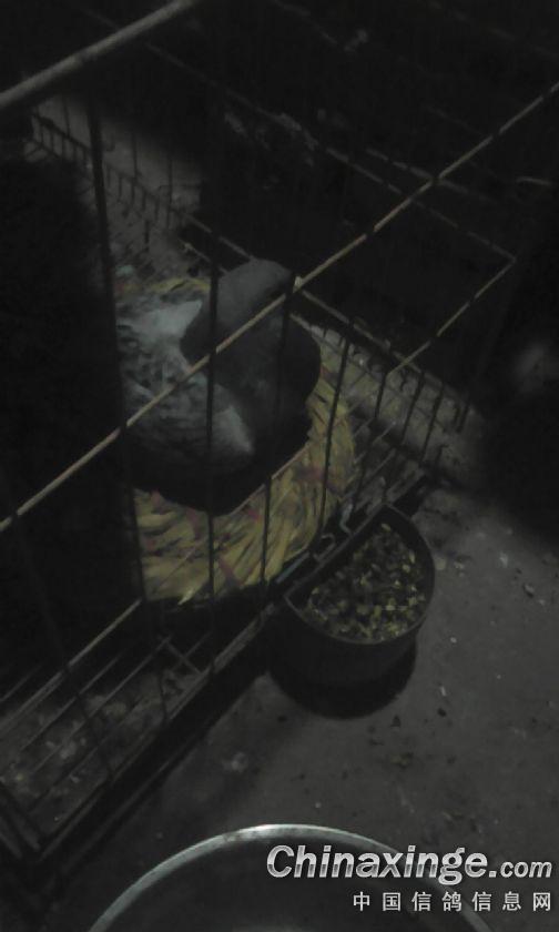 ´ڞg[DƬ