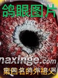 ´ڞg[DƬ