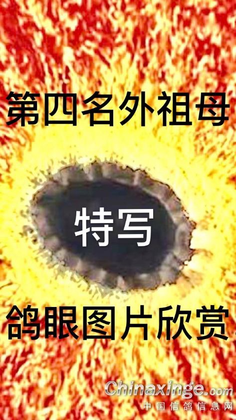 ´ڞg[DƬ