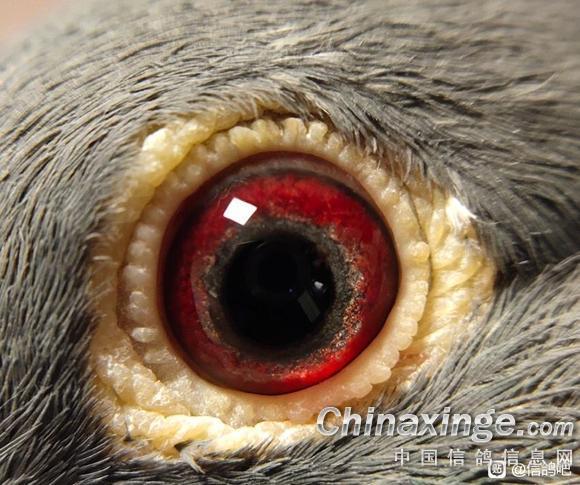 ���壺�ҵ��ָ��������