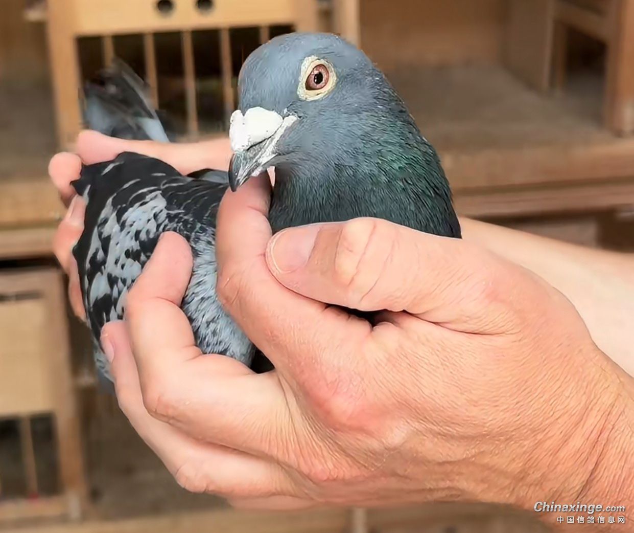 4���Ӵ������ǰ�� ���ʹ�������